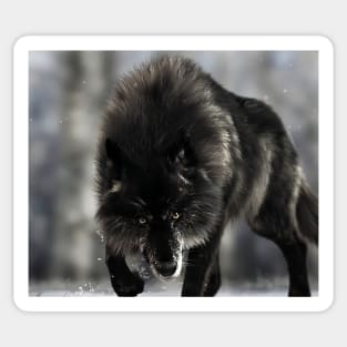 Black Wolf Sticker